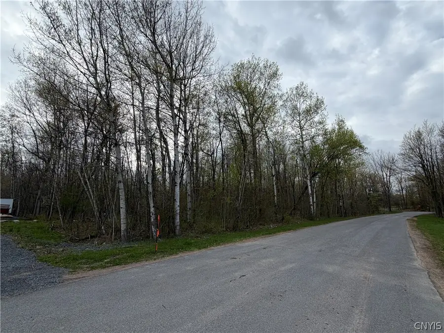 0 Farney Pit Rd, Carthage, NY 13619 - #3