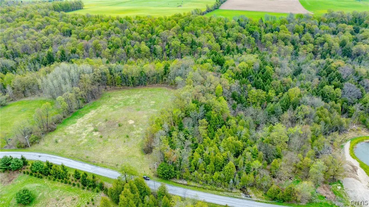 Shephard Road, Fenner, NY 13035 - #1