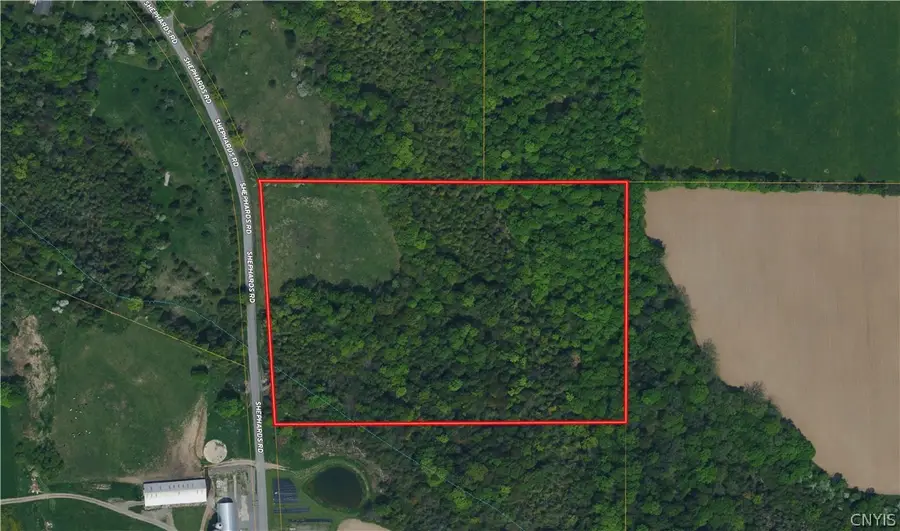 Shephard Road, Fenner, NY 13035 - #3