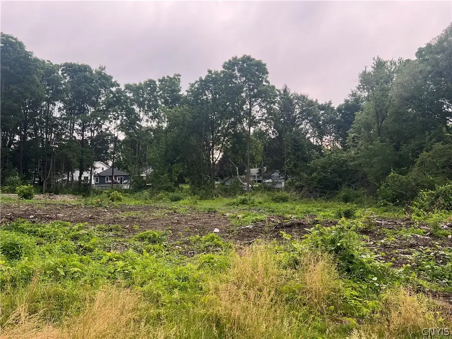 Franklin Street, Homer, NY 13077 - #2