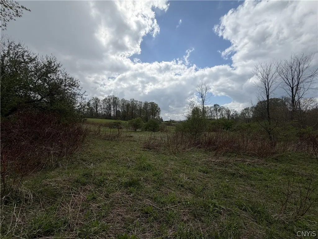 Casler Road, Jordanville, NY 13361 - #1