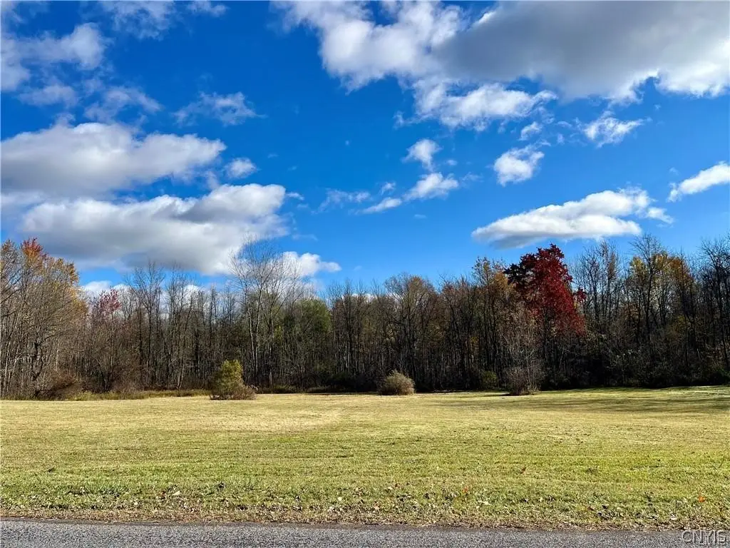 Hogback Road, Red Creek, NY 13143 - #1