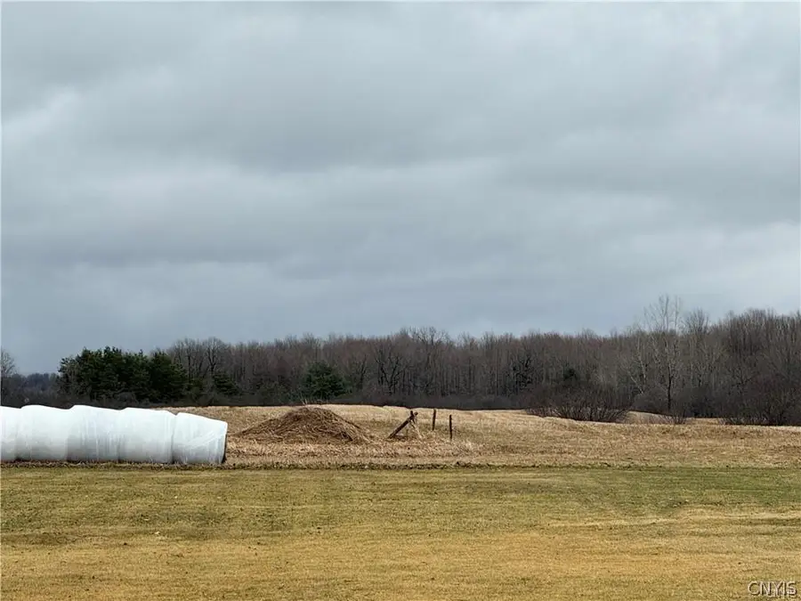 Plank Road, Calcium, NY 13616 - #2