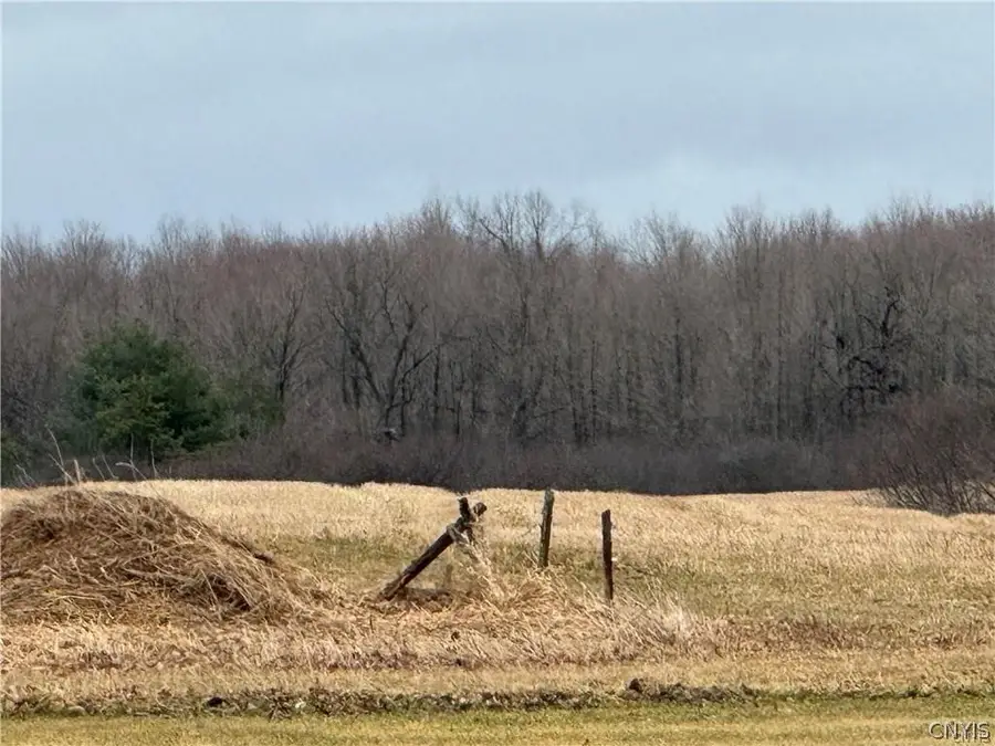 Plank Road, Calcium, NY 13616 - #3