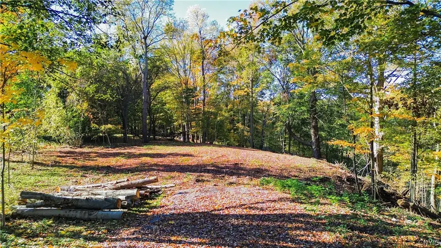 Harrison Avenue, Ilion, NY 13357 - #2