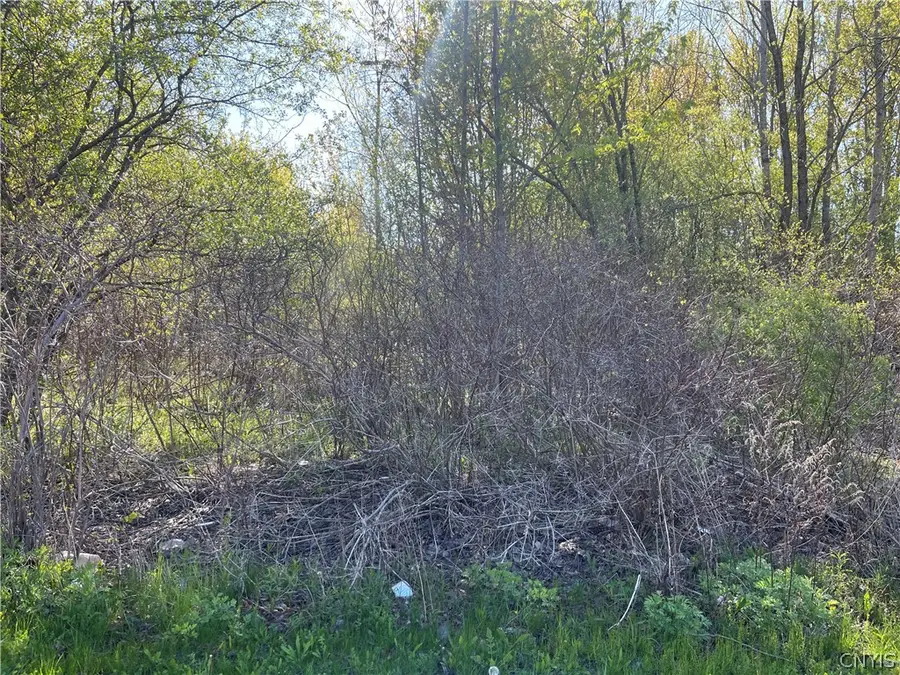 212 Dunning Avenue, Auburn, NY 13021 - #3
