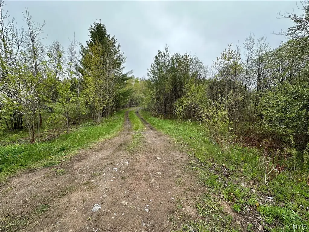 4815 Texas Road, Croghan, NY 13327 - #1