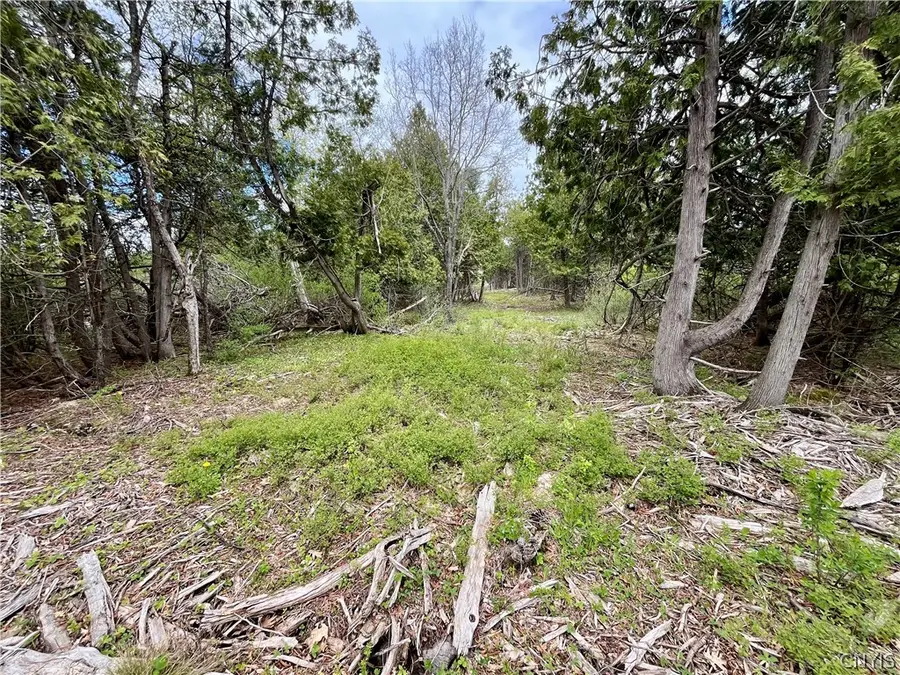 Lot 4 Thompson Trail Drive, Dexter, NY 13634 - #3