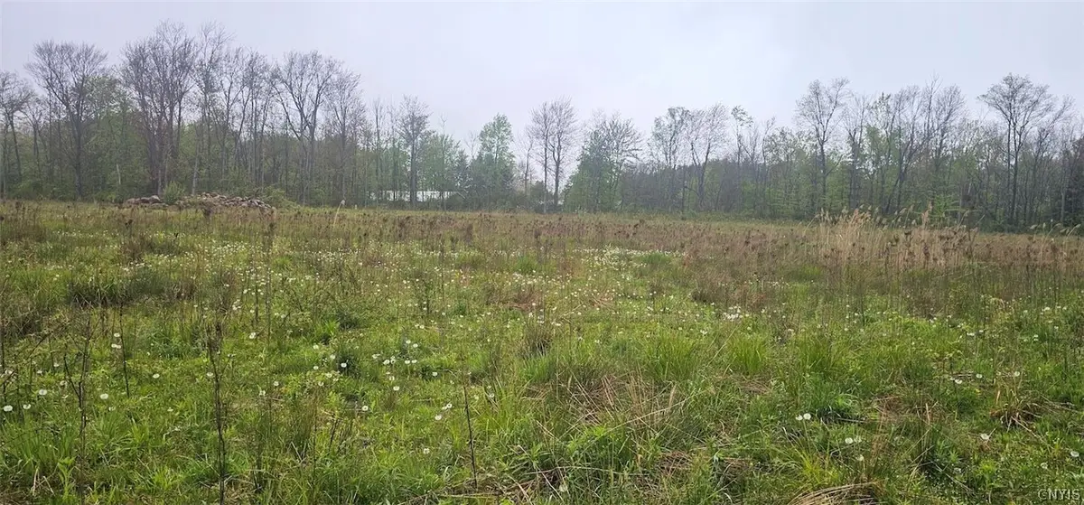 Rotterdam Road, Sodus, NY 14551 - #1