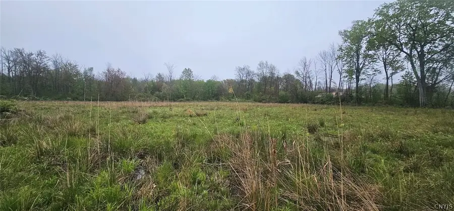Rotterdam Road, Sodus, NY 14551 - #2