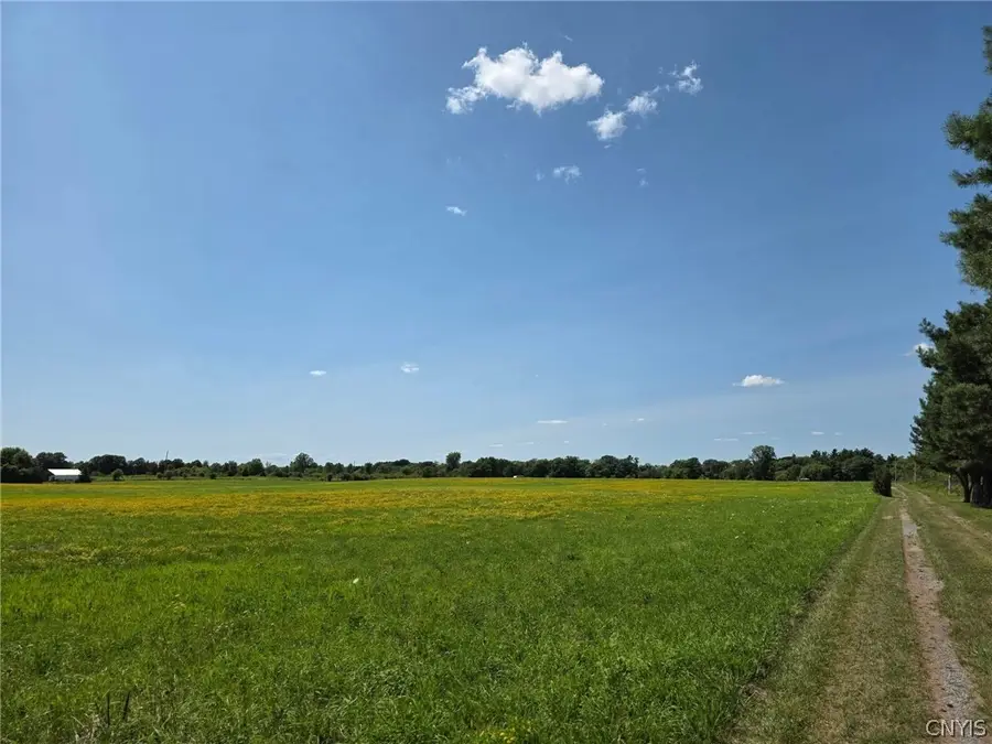 25835 Moffatt Road, Dexter, NY 13634 - #2