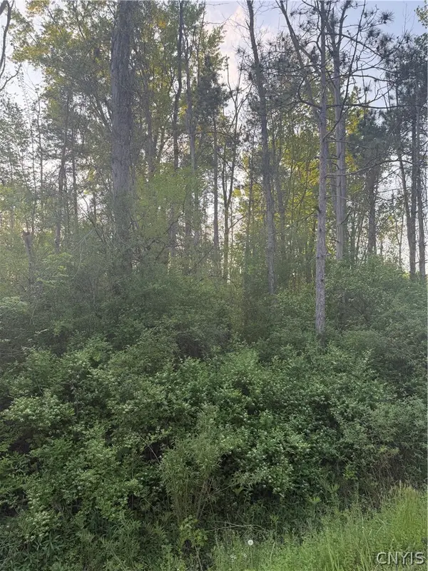 Miner Road, Bridgeport, NY 13030