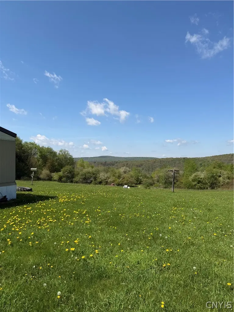 501 Hopkins Crandall Road, Smyrna, NY 13464 - #3