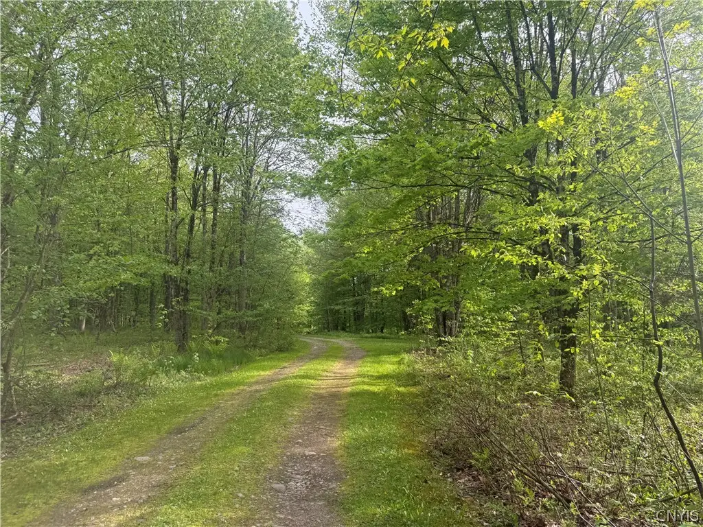 Lot #9 Lost Ridge Road #9, Camden, NY 13316 - #1