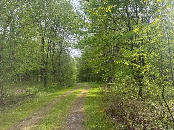 Lot #9 Lost Ridge Road #9, Camden, NY 13316