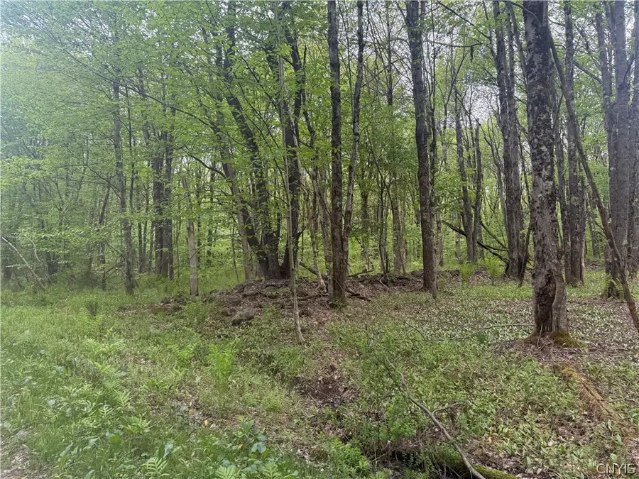 Lot #9 Lost Ridge Road #9, Camden, NY 13316 - #3