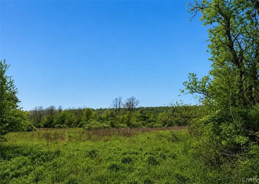 0 Oran Delphi Rd, Manlius, NY 13104 - #3