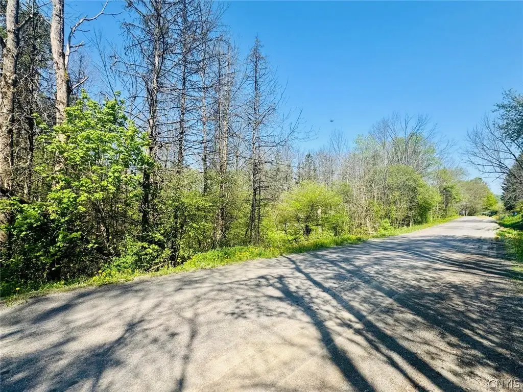 Dog Hollow Road, Truxton, NY 13158 - #1