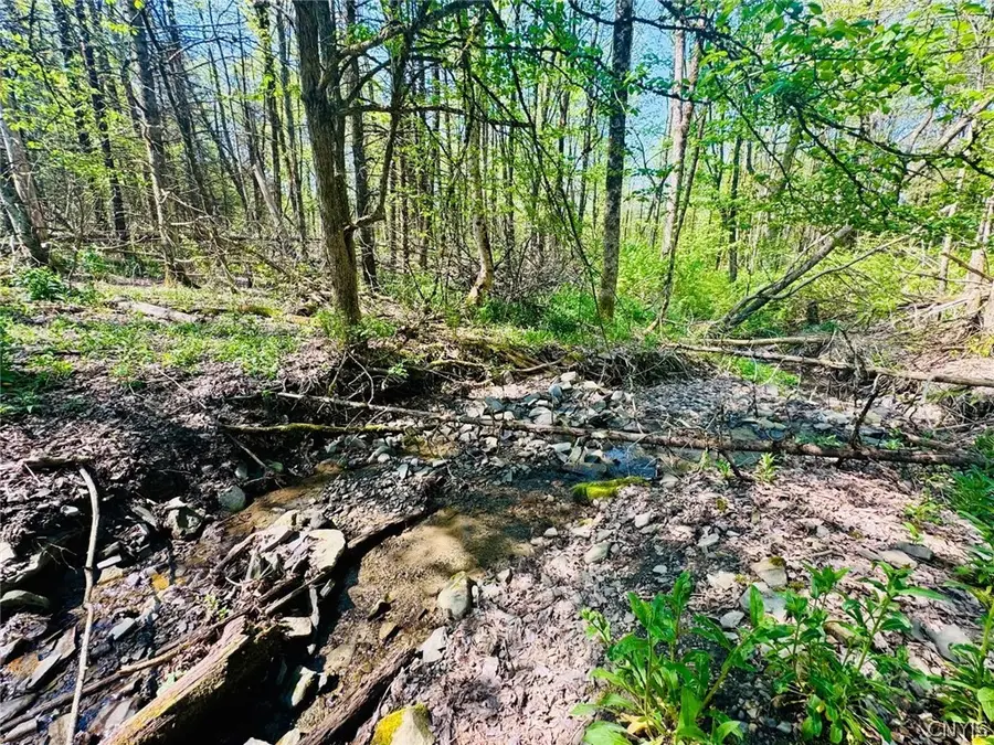 Dog Hollow Road, Truxton, NY 13158 - #3