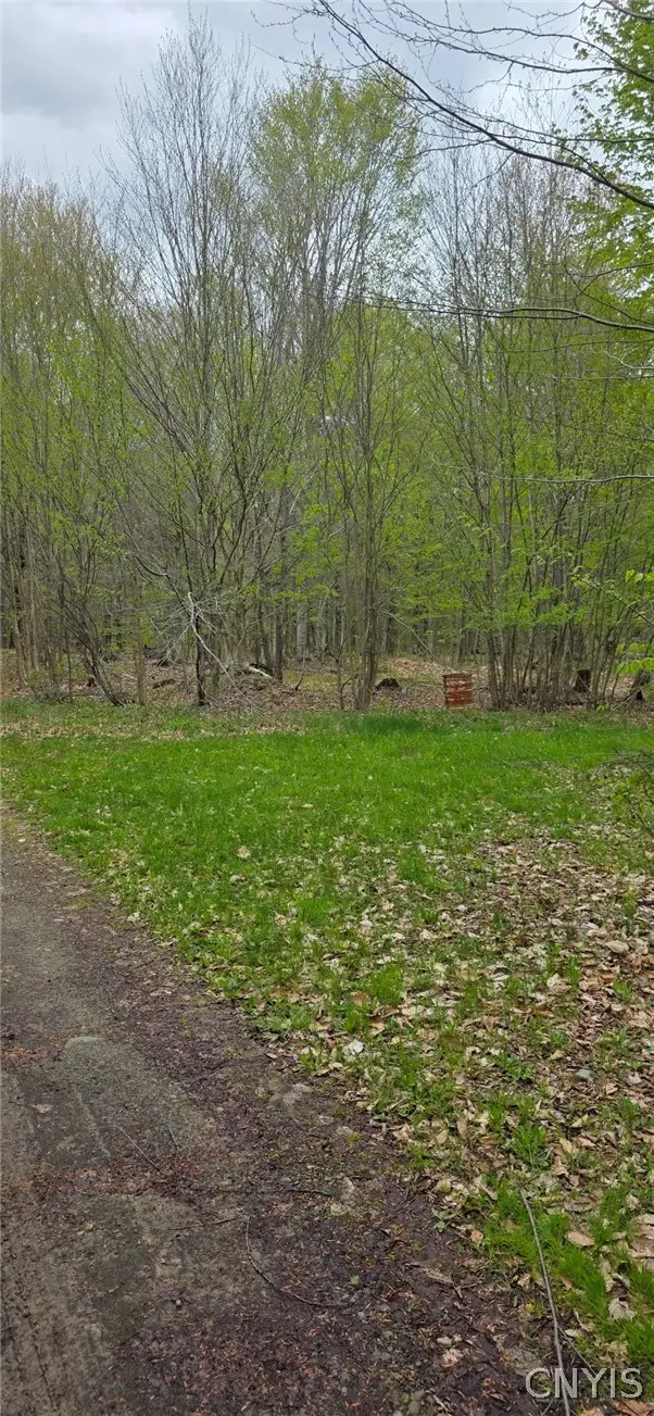 Steelhead Lane, Williamstown, NY 13493 - #3