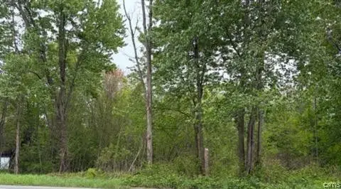 Rt-13 E, Blossvale, NY 13308 - #1