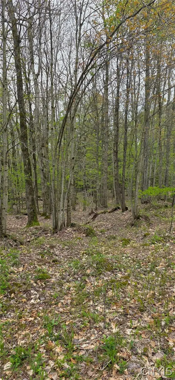 Steelhead Lane, Williamstown, NY 13493 - #1