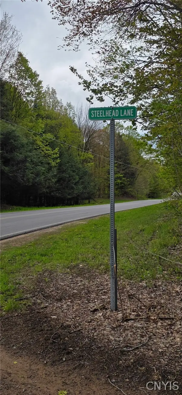 Steelhead Lane, Williamstown, NY 13493 - #3