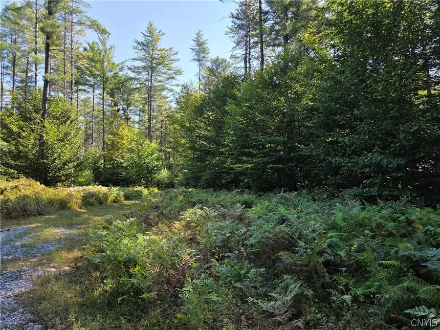 5566 Partridgeville Road, Greig, NY 13345 - #3