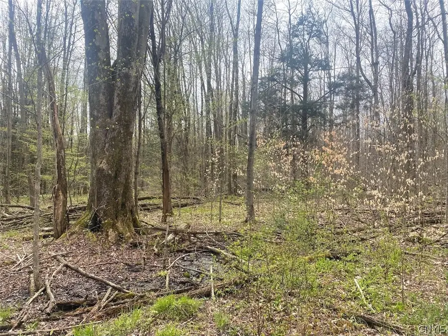6281 E Hill Road, Caneadea, NY 14717 - #3
