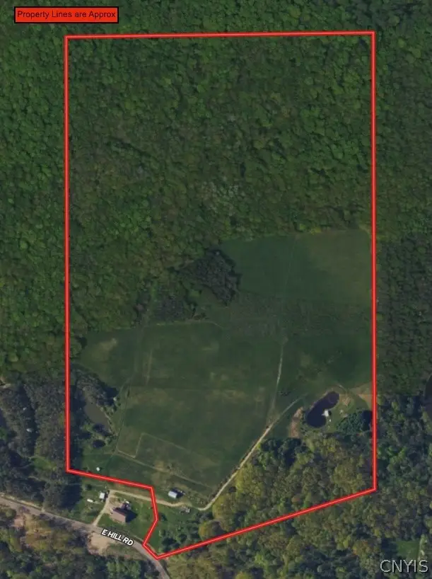 E Hill Road, Franklinville, NY 14737 - #2