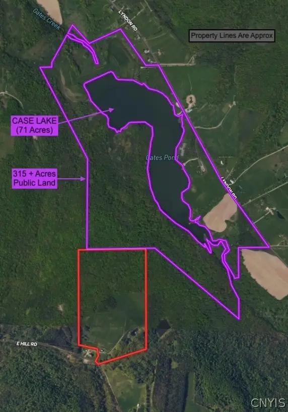 E Hill Road, Franklinville, NY 14737 - #3