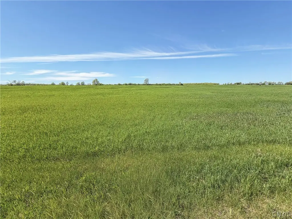 Lot #1 Three Mile Pt Road, Chaumont, NY 13622 - #1