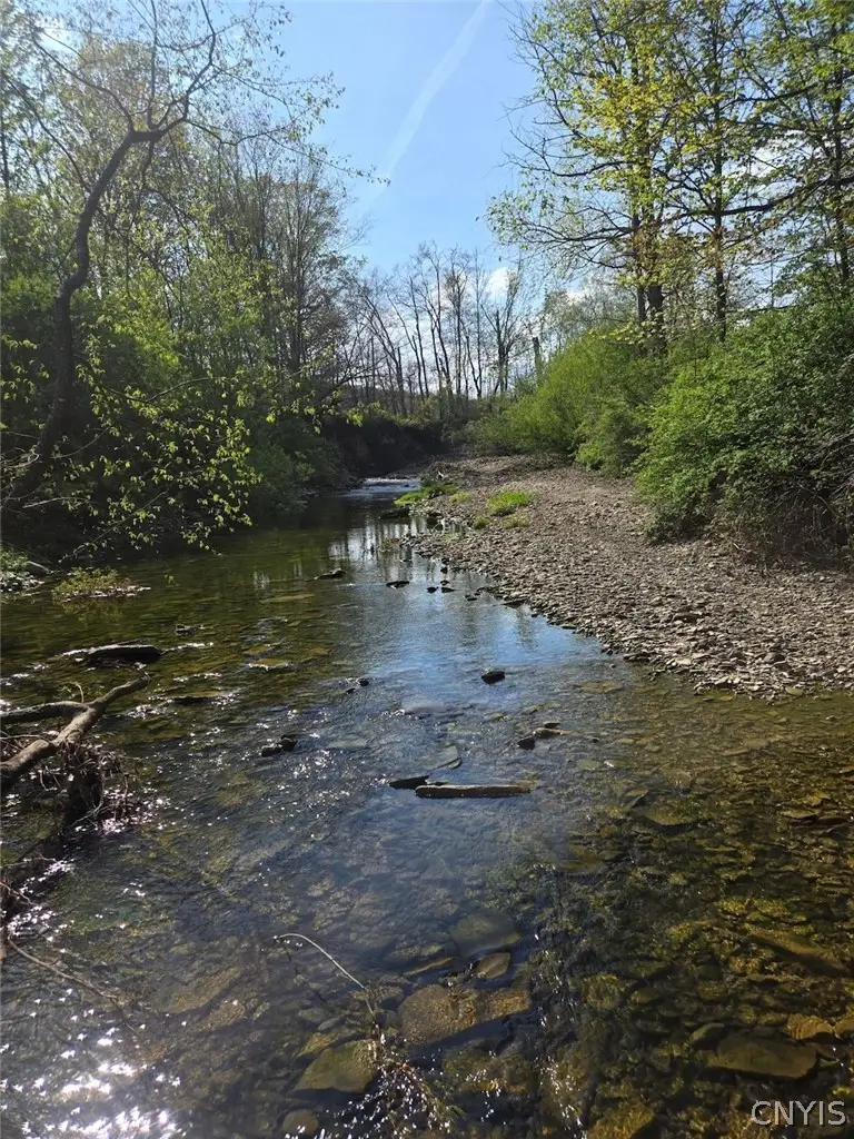 Pochuck Road, Bliss, NY 14024 - #1