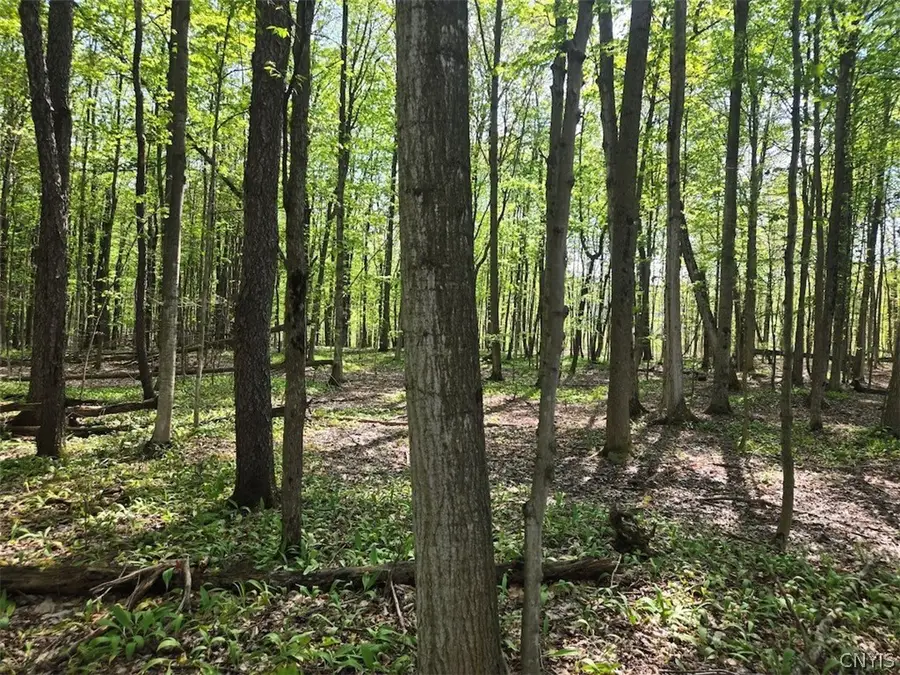 Pochuck Road, Bliss, NY 14024 - #3
