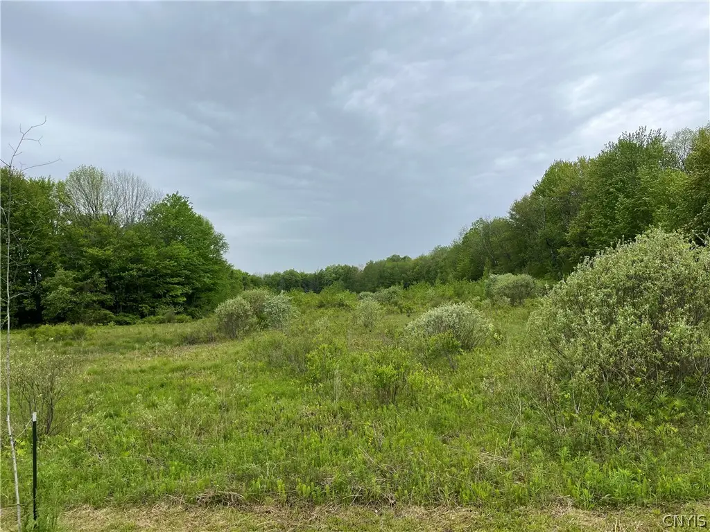 Hong Kong Road, Albion, NY 13142 - #1
