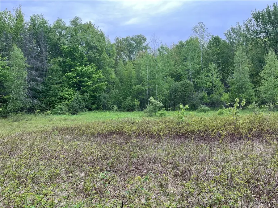 Hong Kong Road, Albion, NY 13142 - #2
