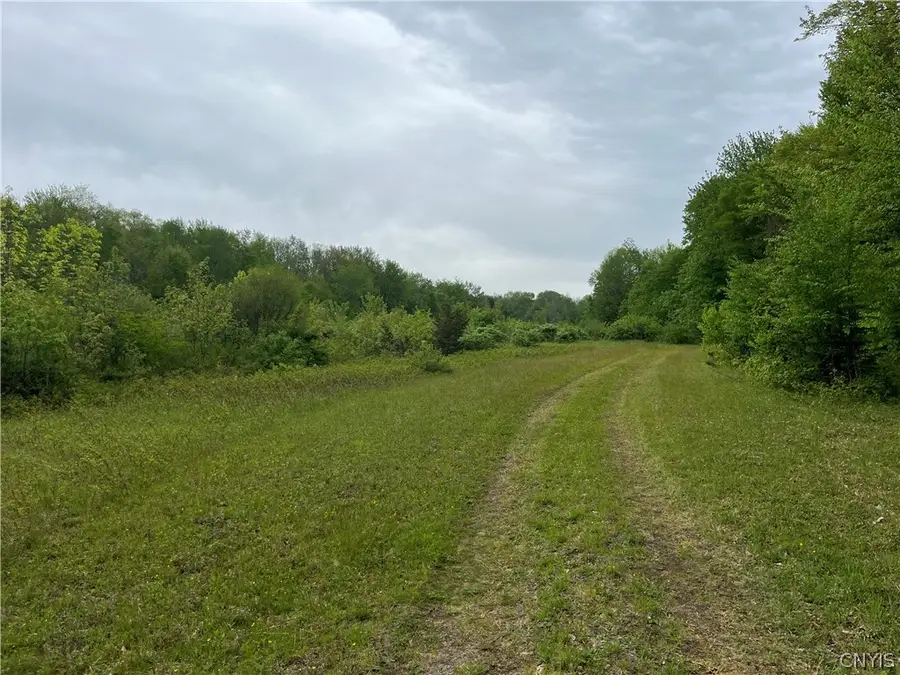 Hong Kong Road, Albion, NY 13142 - #3