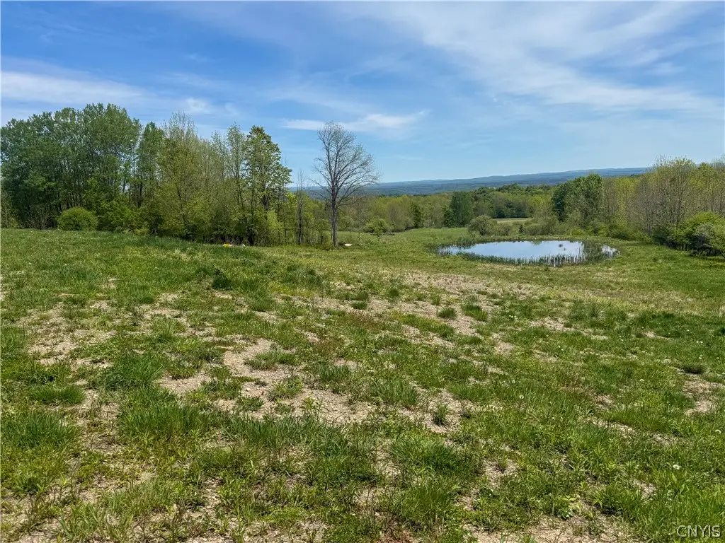 6275 Iseneker Road, Constableville, NY 13325 - #1