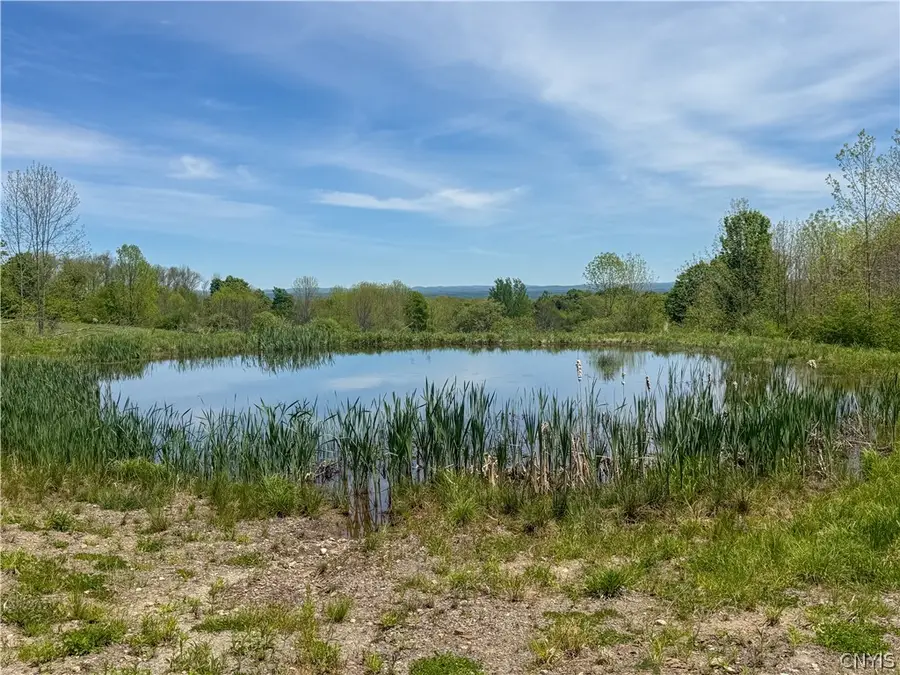 6275 Iseneker Road, Constableville, NY 13325 - #3