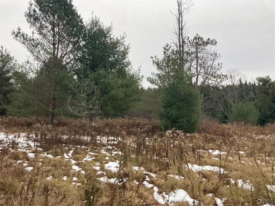Rt 8, Cold Brook, NY 13324 - #2