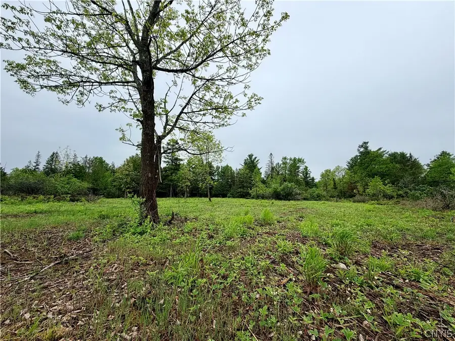 County Rte 8, Cape Vincent, NY 13618 - #2