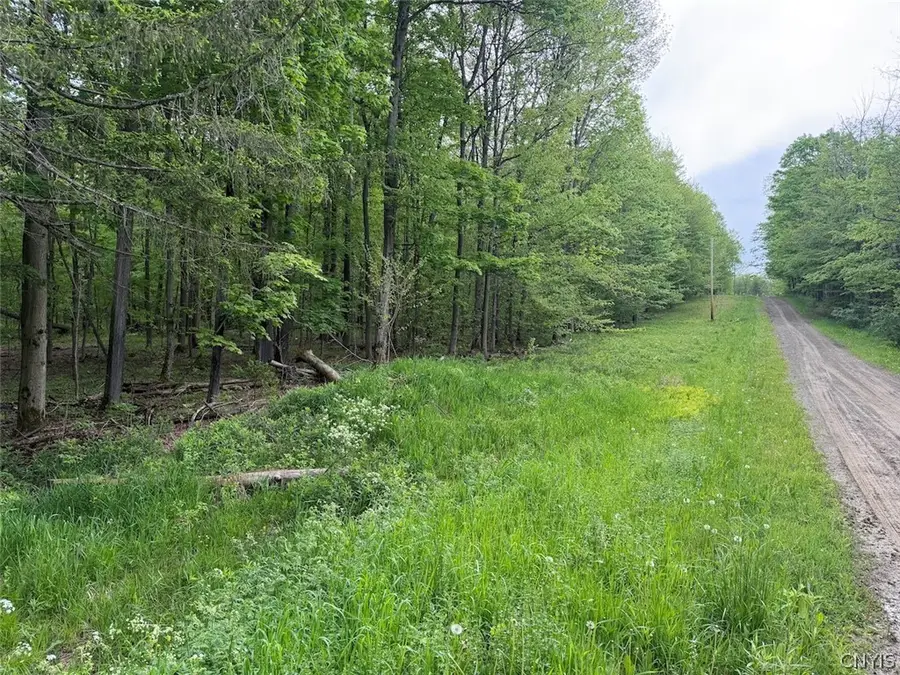 Slew Road, South Dayton, NY 14138 - #3