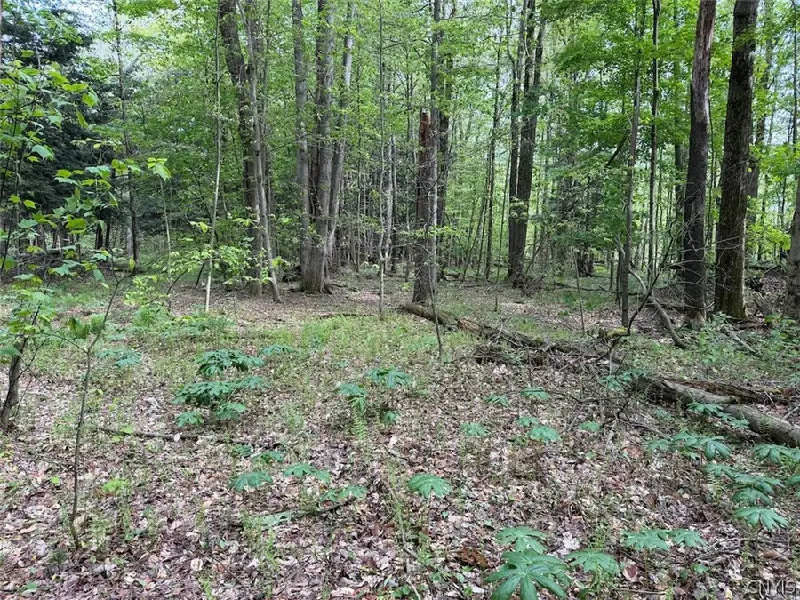 Kellogg Hill Road, South Dayton, NY 14138 - #3
