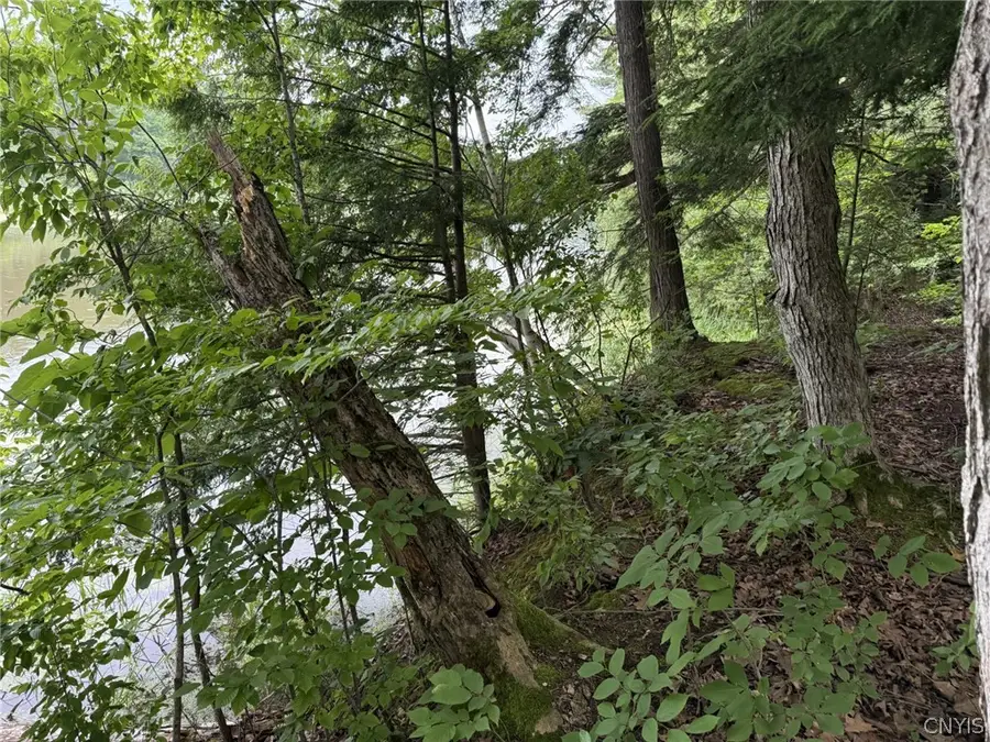 0 Lot C County Rt 179, Clayton, NY 13624 - #3