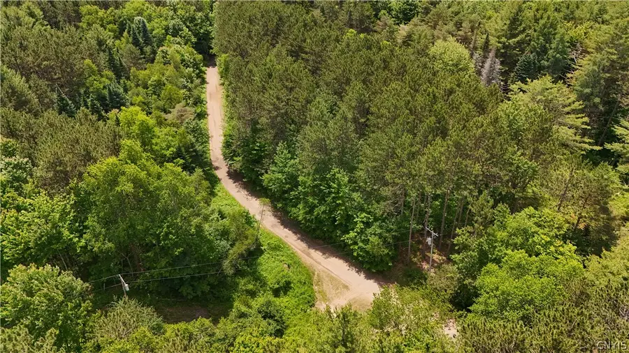 Bellingertown Road, Forestport, NY 13338 - #3