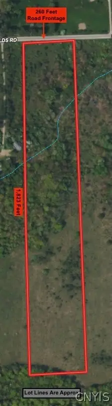 Reynolds Road, Franklinville, NY 14737 - #2