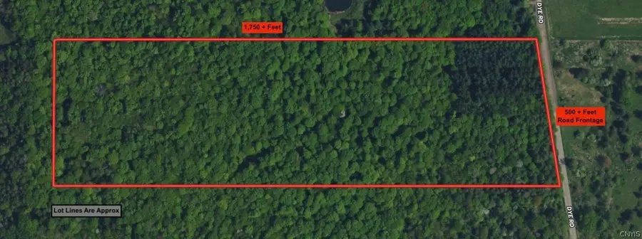 Dye Road, South Dayton, NY 14138 - #2