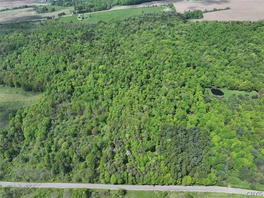 Dye Road, South Dayton, NY 14138 - #3