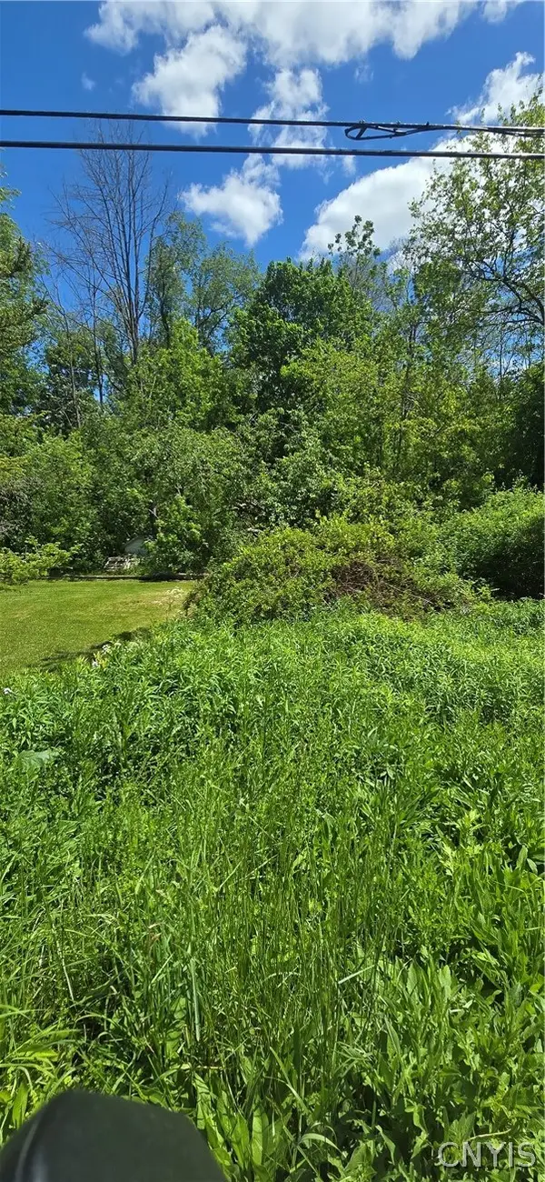 Snowden Hill Road, New Hartford, NY 13413