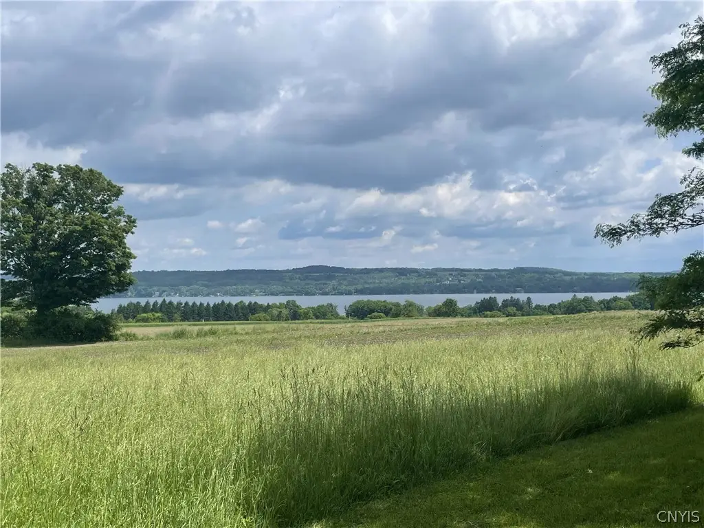 1676 W Lake Road, Skaneateles, NY 13152 - #1